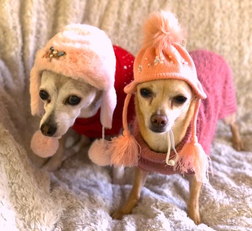 Kristal Wick's Color Inspiration - Have a Heart Necklace - , Wire Jewelry Design, Design, color inspiration have a heart